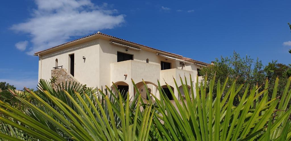 ein weißes Haus mit vielen Pflanzen davor in der Unterkunft Très bel appartement,proche plage et centre ville. in Calvi