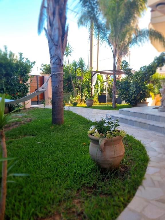 a flower pot sitting on the grass in a yard at Dimora Sole del Sud in Ugento
