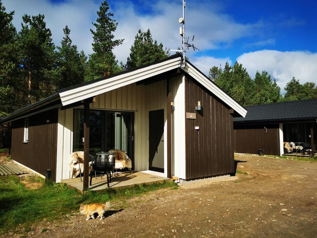 a dog sitting on a porch next to a barn at Karasjok Camping becoming Min Ája in Karasjok