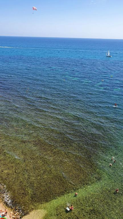 Sobre Las Olas del Mar, El Campello – Updated 2023 Prices