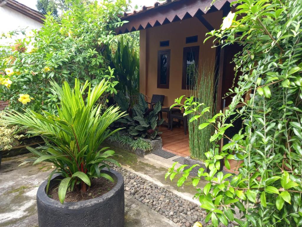 a small house with plants in front of it at Juda Homestay in Banyuwangi