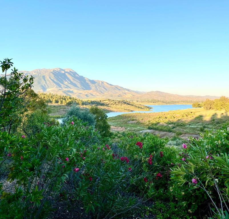 uma vista para um campo com flores e um lago em La Rústica en Viñuela, piscina privada em Viñuela