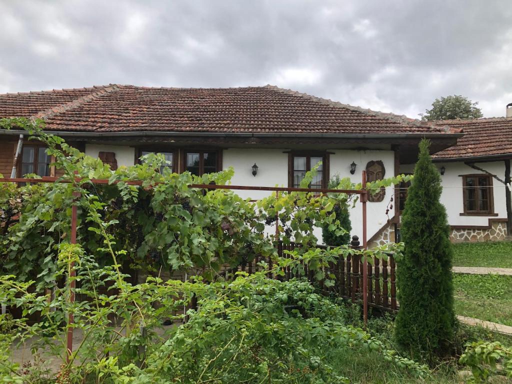 Guest House Pri Shopa