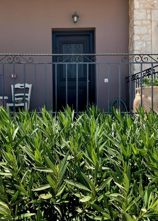 Vonkajšia záhrada v ubytovaní Olive Coast Suites