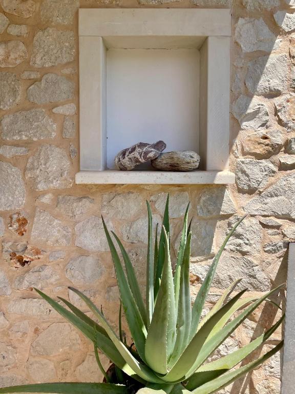 Fotografia z galérie ubytovania Olive Coast Suites v destinácii Palekastron