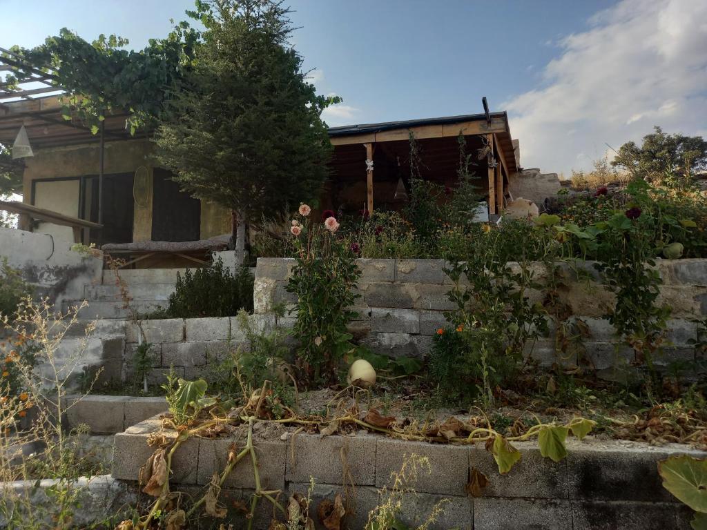a garden in front of a house at CAVE HOUSE(KIR EVİ) in Urgup
