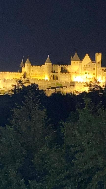 Fotografia z galérie ubytovania Douceur occitane v destinácii Carcassonne