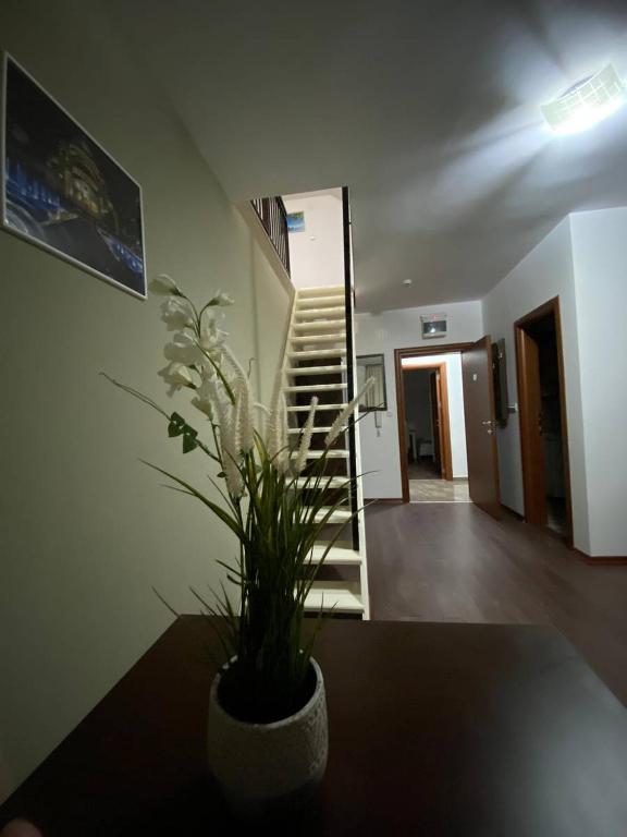 Foto dalla galleria di Podrinjski san a Loznica