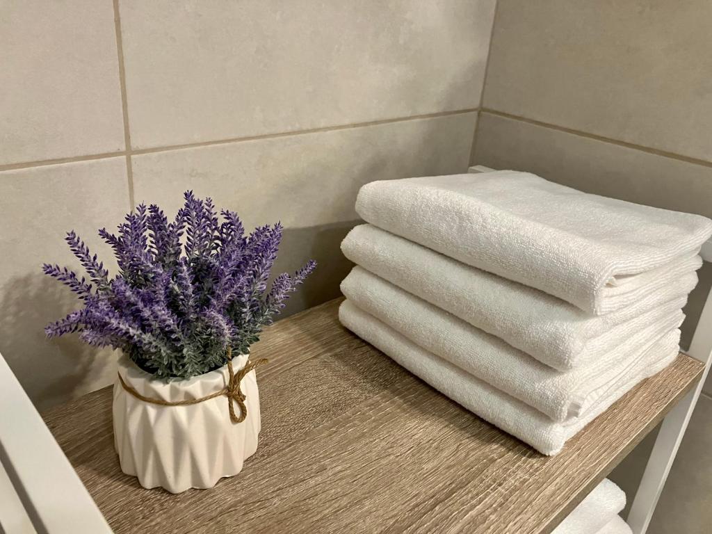 Petlov salaš rooms - Resim 18