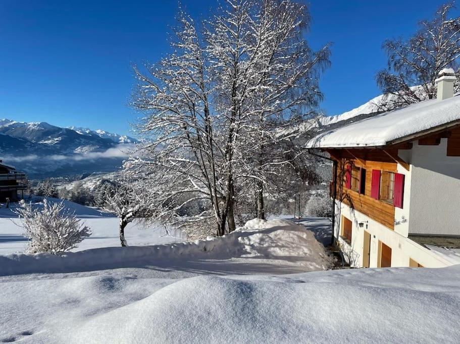 Gallery image of Chalet Pirraz-Parc in Crans-Montana