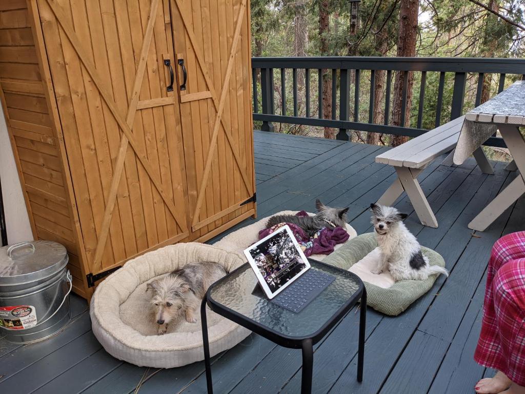Balkón nebo terasa v ubytování Breckenridge Chalet near Yosemite. Dog friendly!