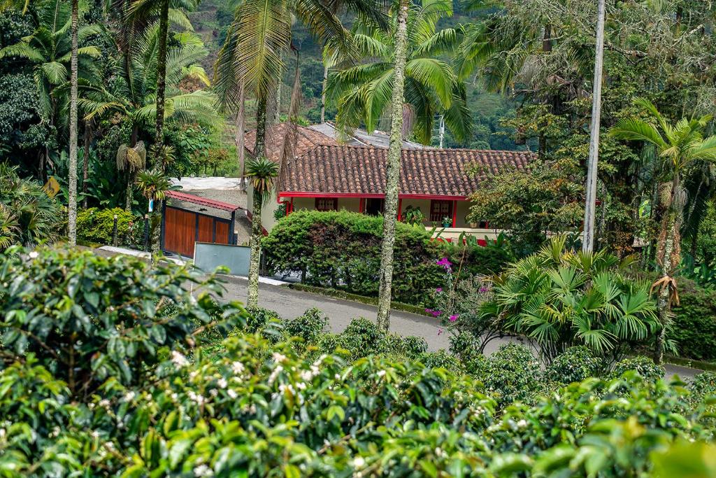 Finca la Camelia