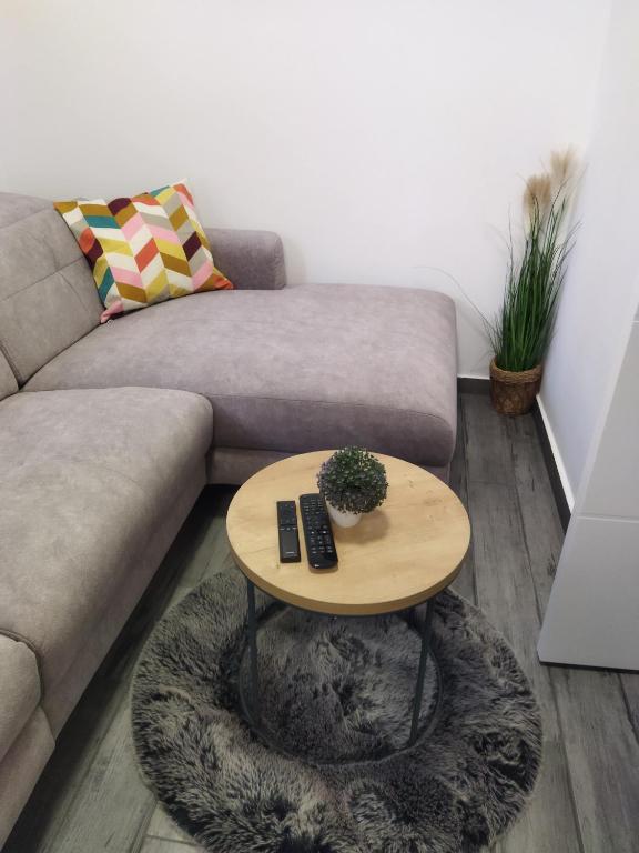 Część wypoczynkowa w obiekcie Apartman na jezeru