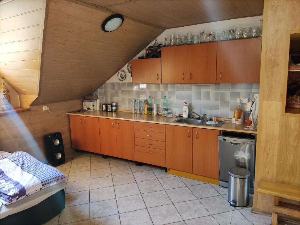 Vinný sklep u Brodů - Housity