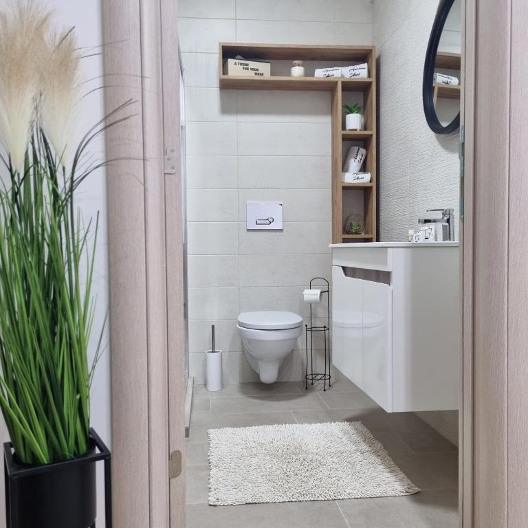 Vannituba majutusasutuses Apartman Ivkovic