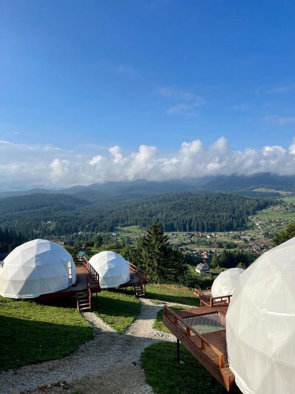 Příroda nedaleko luxury tent