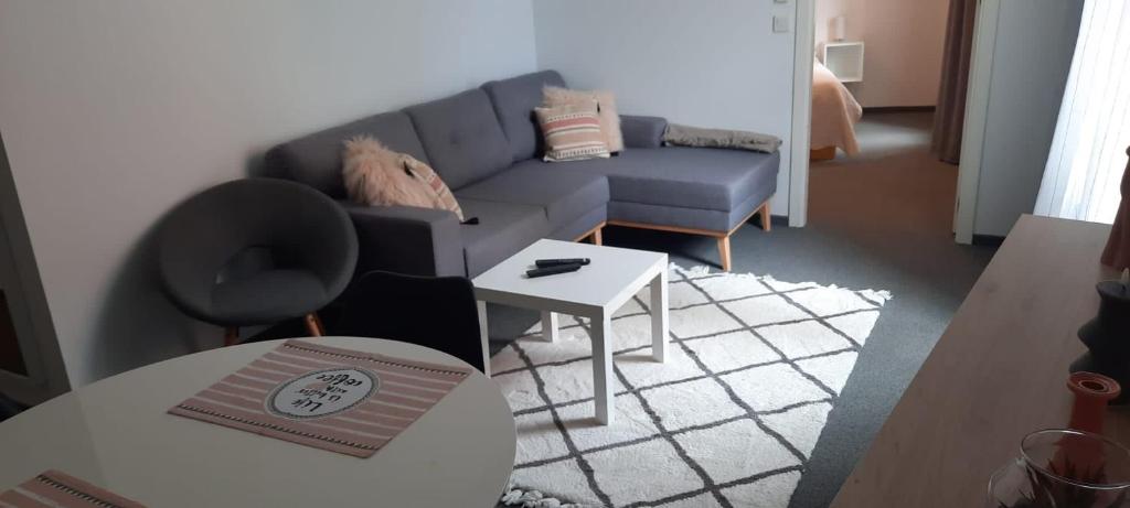 Apartments DOLAC Zagreb - Appartement D'une Chambre