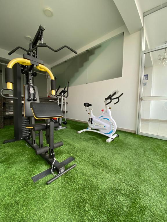 Fitness centrum a/nebo fitness zařízení v ubytování Hotel Las Palmeras