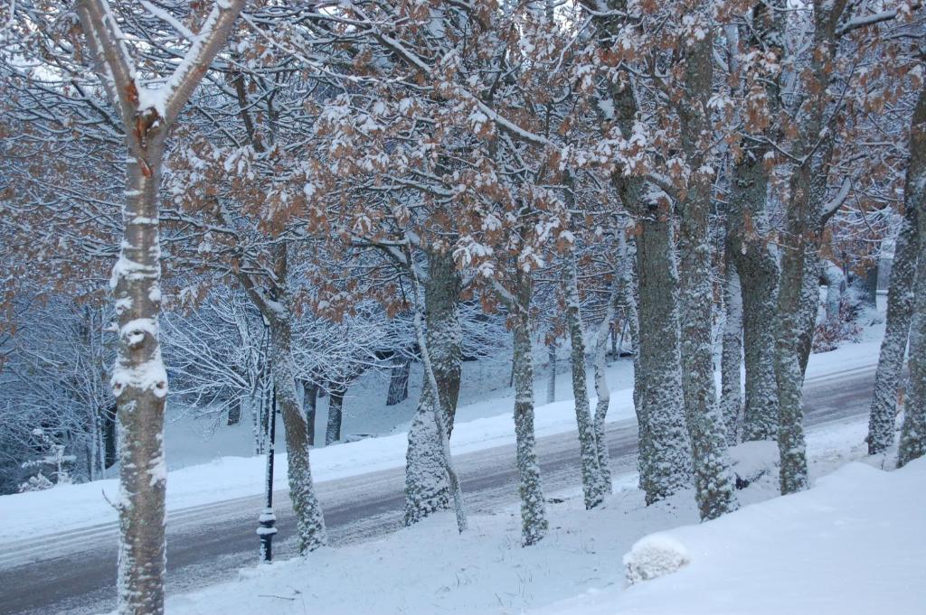 Hotel Los Duques during the winter