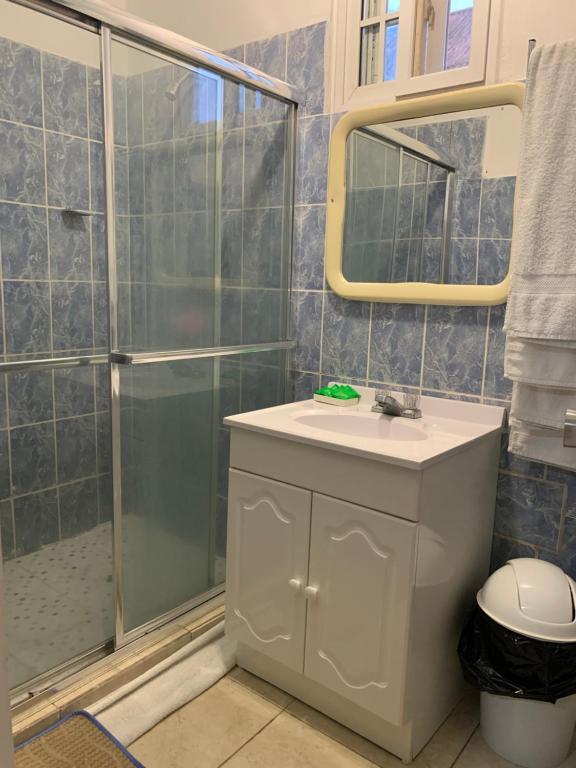 a bathroom with a shower and a sink and a mirror at Black Lion Inn in Santiago