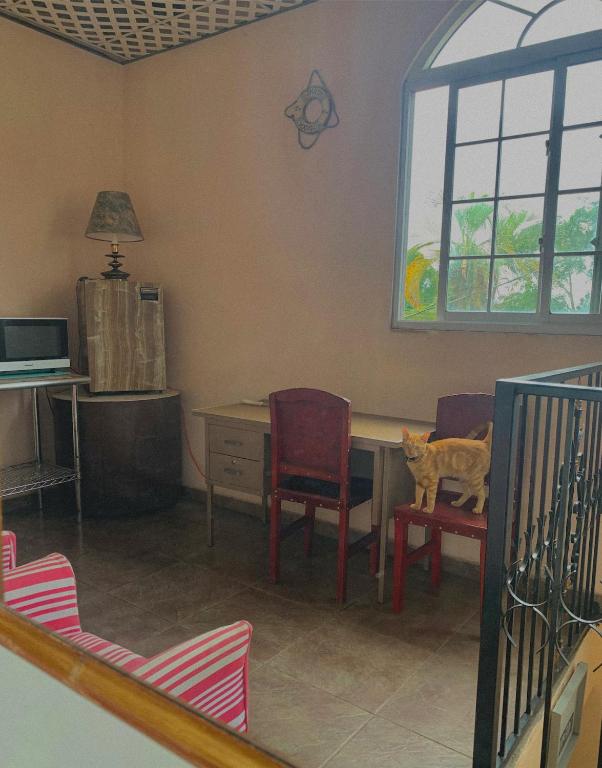 Kuchyň nebo kuchyňský kout v ubytování Black Lion Inn