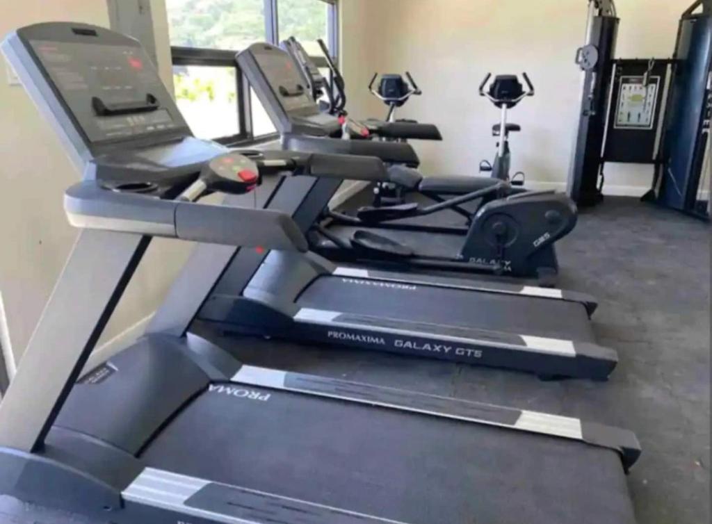 Fitness centrum a/nebo fitness zařízení v ubytování Natalia’s Sweet Oasis