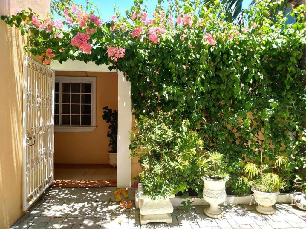 Zahrada ubytování Little Norway Guesthouse - Mactan Cebu International Airport
