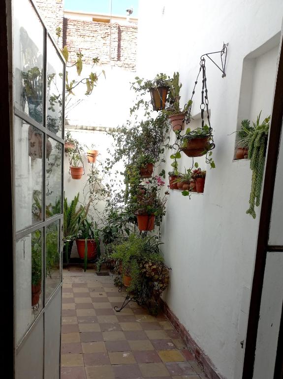 Sumaq Salta - Two-Bedroom House