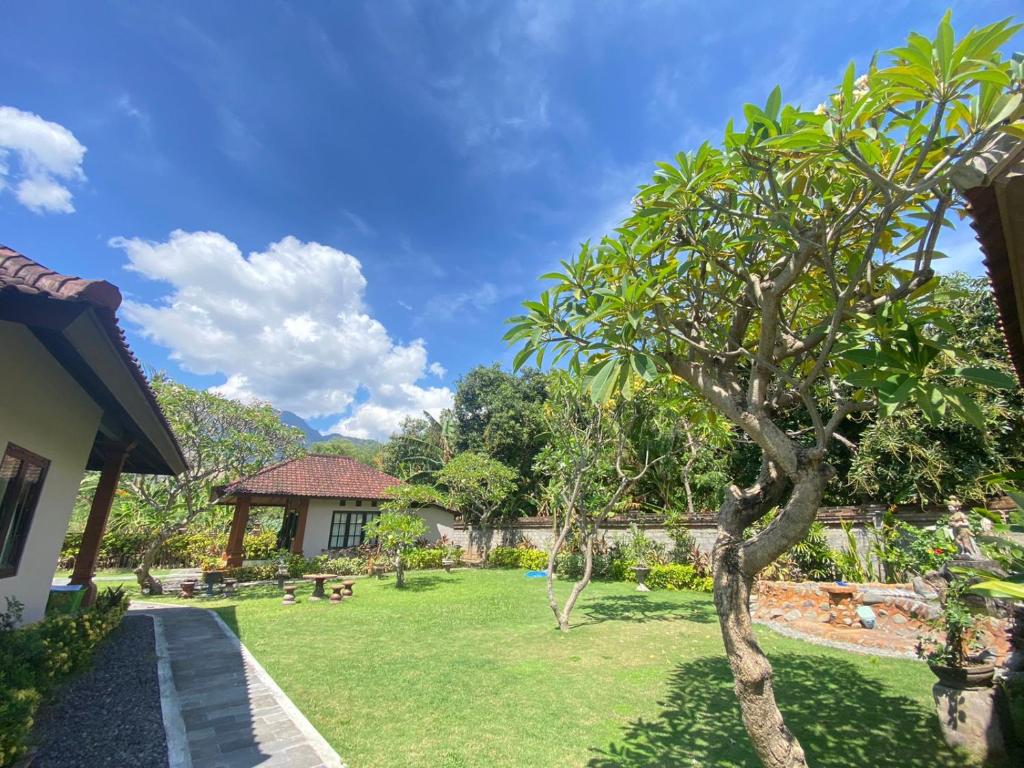 Zahrada ubytování Badini Homestay Pemuteran Bali