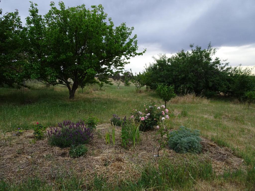 Zahrada ubytování Meander Retreat - Garden Studio with dog park