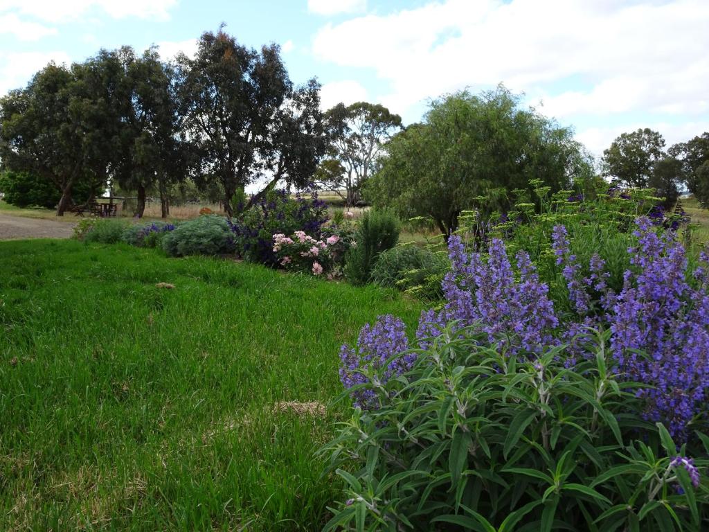 Zahrada ubytování Meander Retreat - Garden Studio with dog park