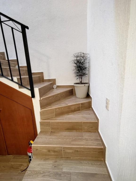 Fotografie z fotogalerie ubytování Casa Noriux en Gdl v destinaci Guadalajara