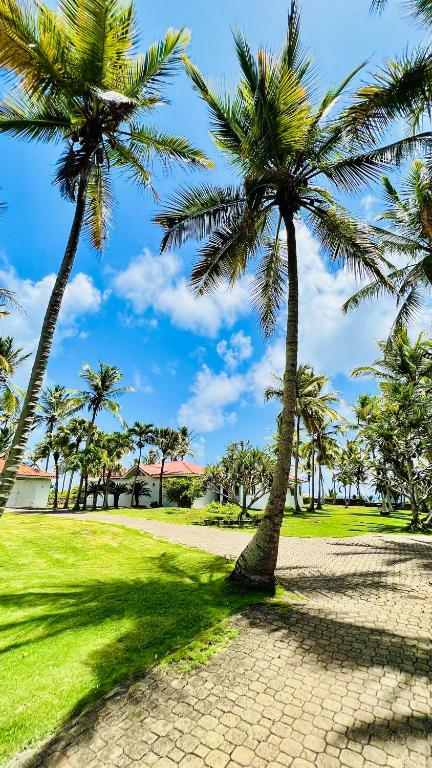 Zahrada ubytování PALM HOUSE - LUXURY VILLA - SAMANÁ - Ocean Front