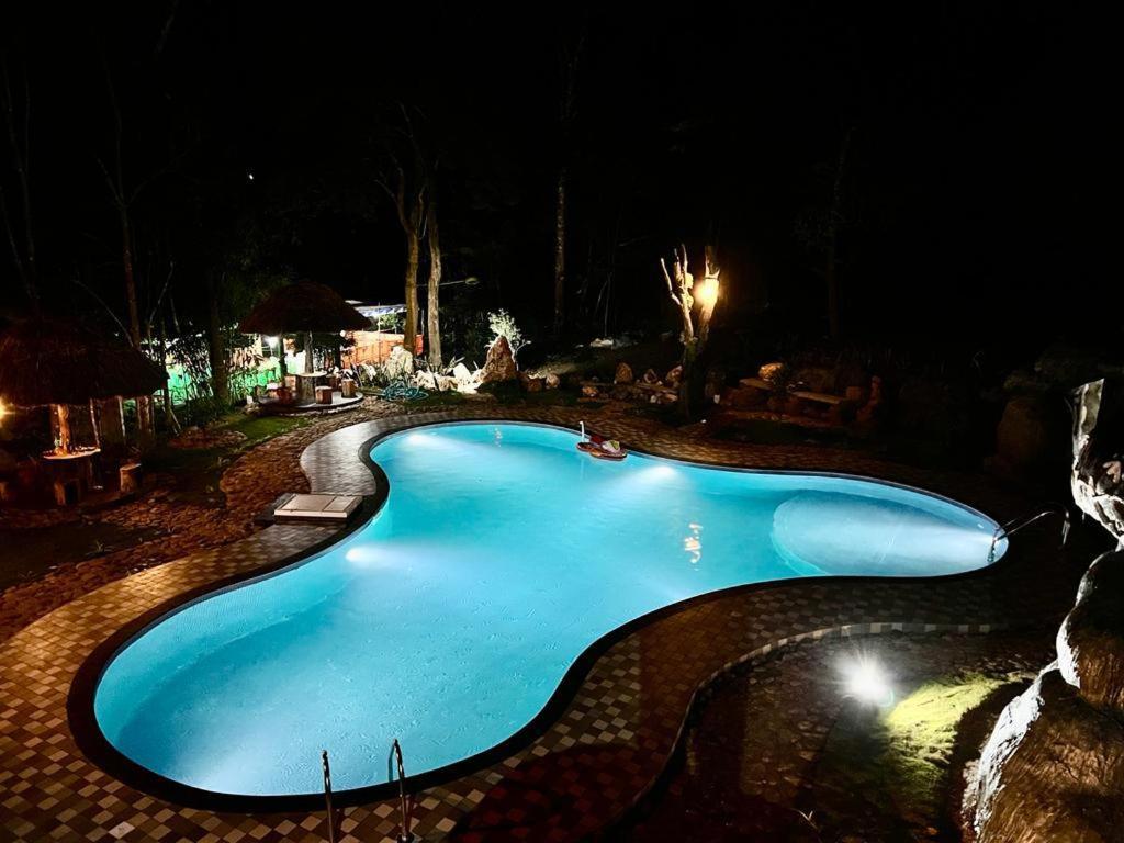 a large blue swimming pool at night at Pugmarks Jungle Lodge in Chekadi