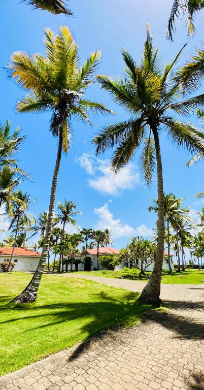 Zahrada ubytování PALM HOUSE - LUXURY VILLA - SAMANÁ - Ocean Front