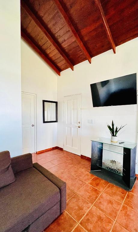 TV a/nebo společenská místnost v ubytování PALM HOUSE - LUXURY VILLA - SAMANÁ - Ocean Front