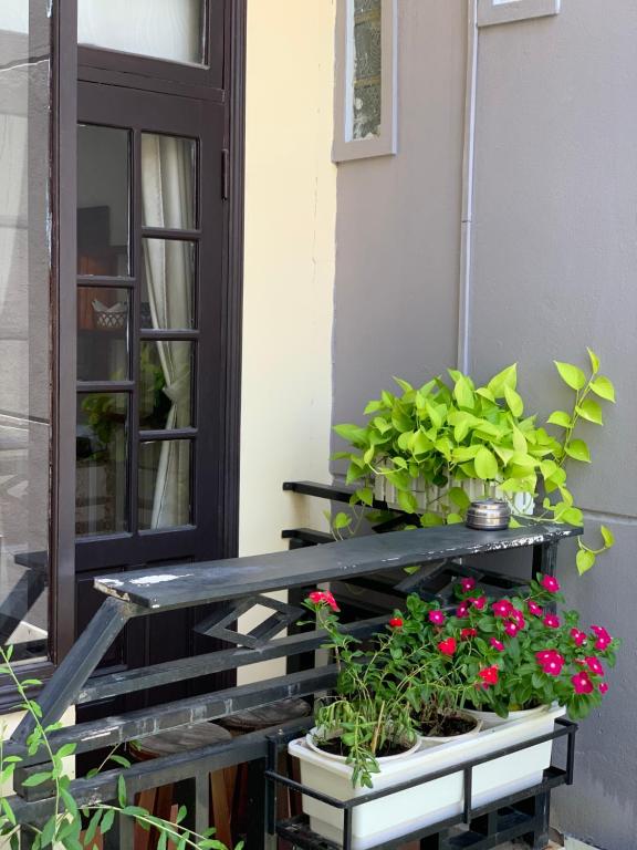 Zahrada ubytování Hoi An Ngo Homestay