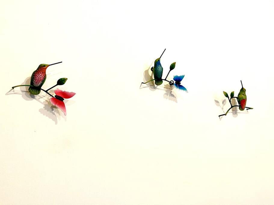 a group of birds on a white background at Apartment in the touristic heart of Mexico City in Mexico City