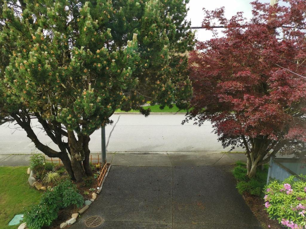 a walkway between two trees in a yard at Bed Plus YVR in Richmond