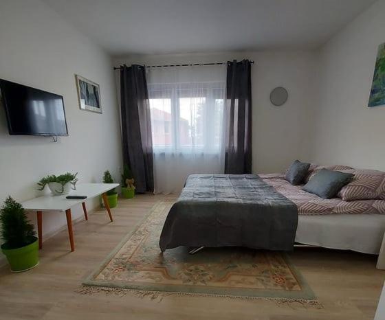 1 dormitorio con cama, mesa y TV en Apartment Panorama en Sarajevo