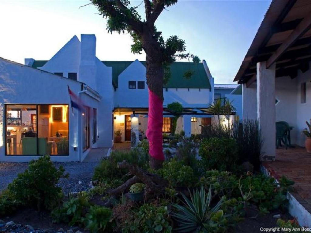 una casa con una bufanda rosa alrededor de un árbol en Kaijaiki Country Inn and Restaurant, en Yzerfontein