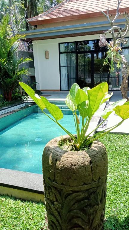 Sawitri Anandhita Luxury Villas - 9