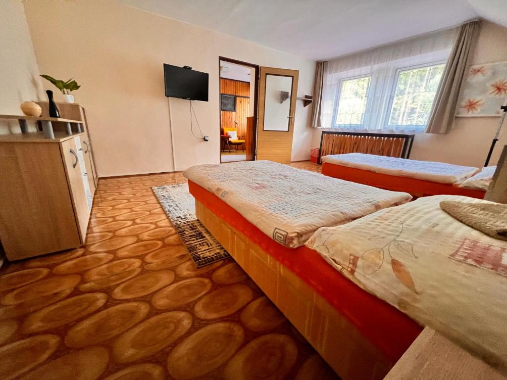 Habitación de hotel con 2 camas y TV en Na samotě u lesa, en Loučovice