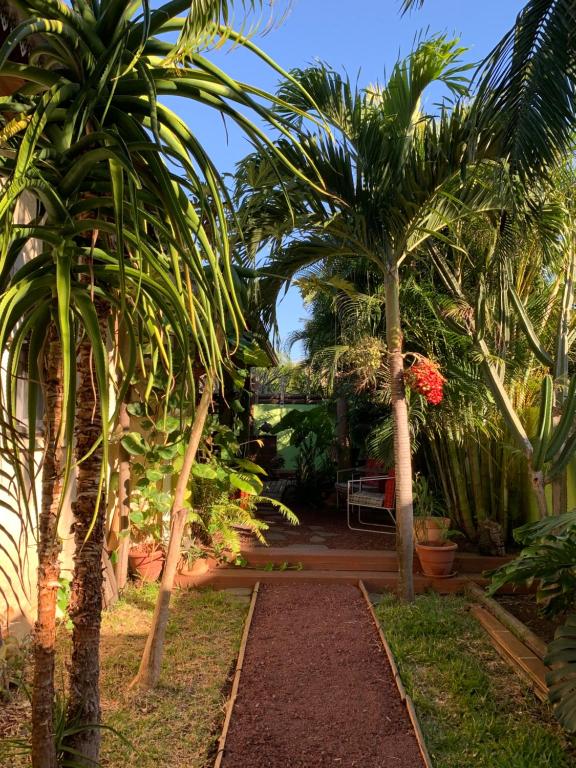 un jardin avec des palmiers et une passerelle dans l'établissement Le Dodo Salé, à L'Étang-Salé