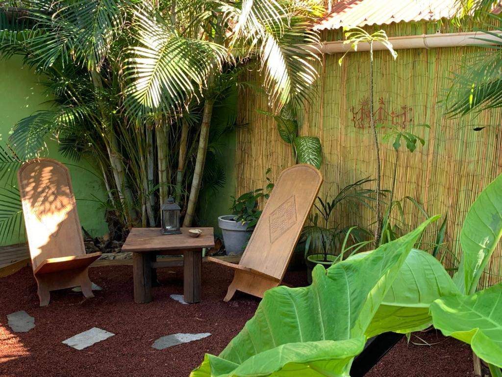 two chairs and a table in a courtyard with plants at Le Dodo Salé in Étang-Salé