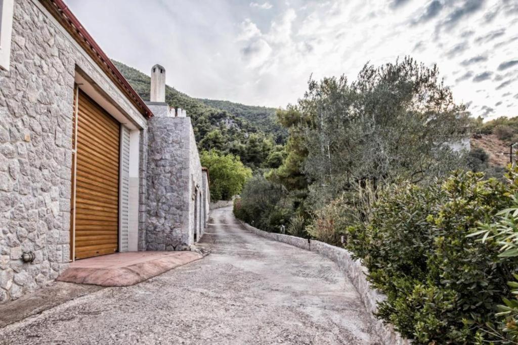 Príroda v okolí apartmánu