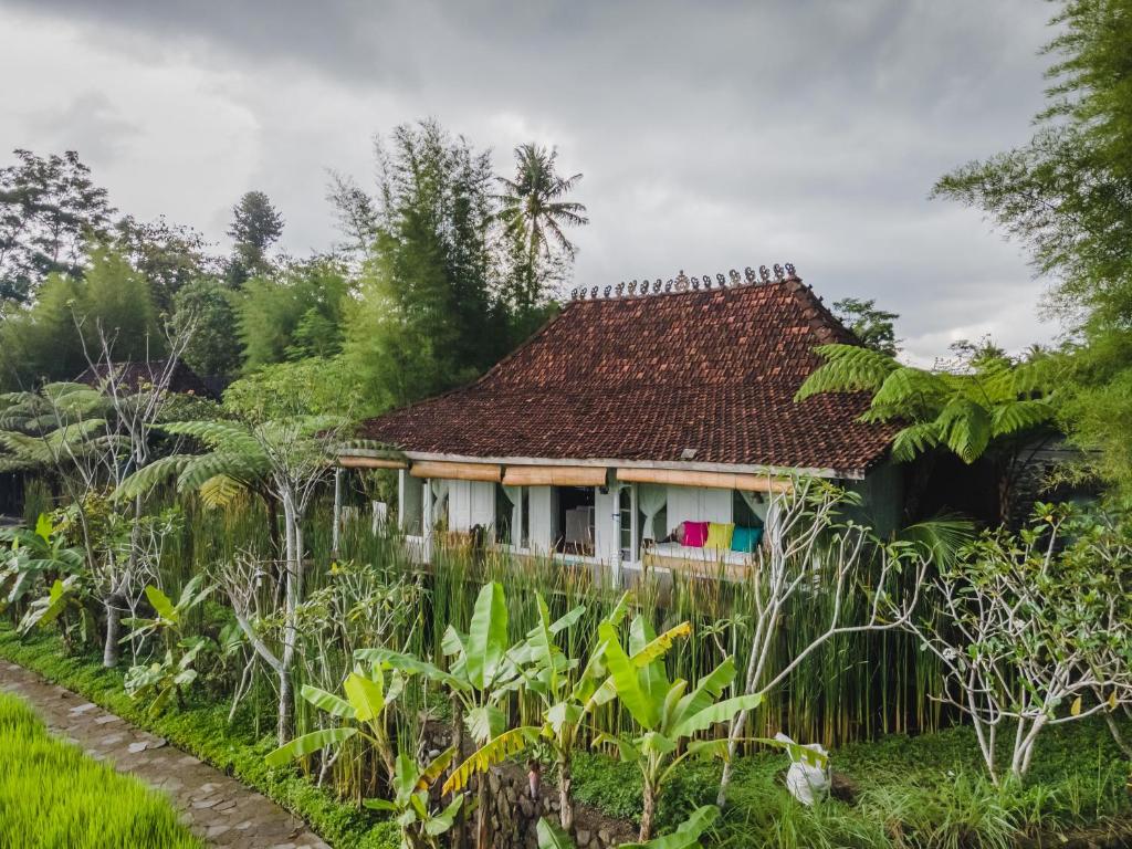 a house in the middle of a garden at Rumah Jembarati in Cangkringan