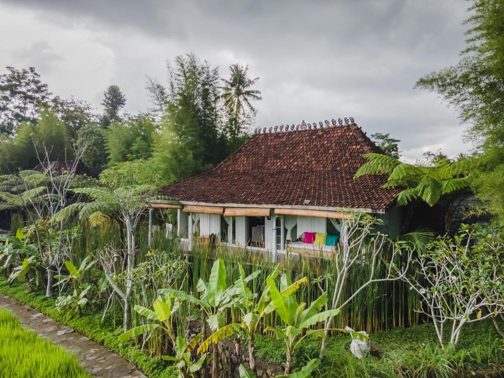Zahrada ubytování Rumah Jembarati