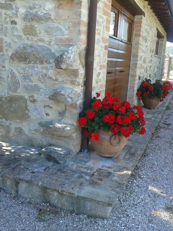 Fotografie z fotogalerie ubytování Agriturismo Ripaiani v destinaci Marsciano