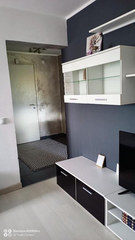 TV a/nebo společenská místnost v ubytování Apartman Bella Vista